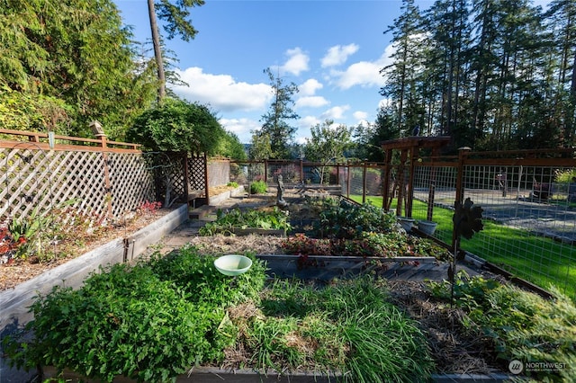308 De Haro Ln, San Juan Island, WA 98250 - view of yard featuring a fenced backyard and a vegetable garden