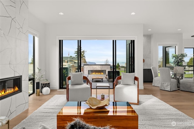 living room with light hardwood / wood-style floors and a fireplace