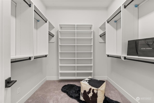 walk in closet with carpet flooring