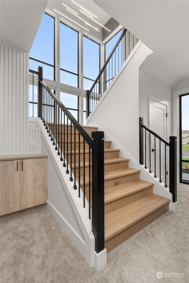 stairway featuring carpet floors