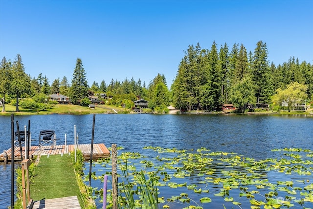 dock area featuring a water view