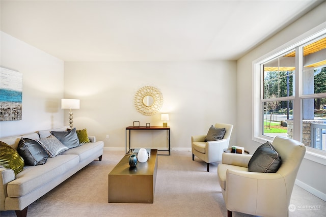 living room featuring light colored carpet