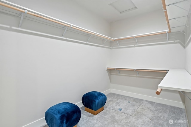 spacious closet with light colored carpet