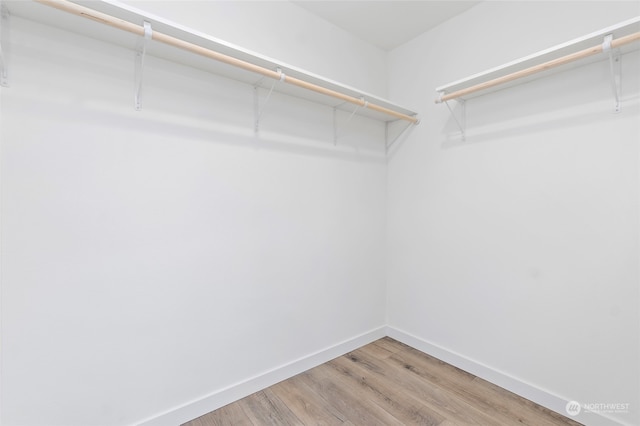 spacious closet featuring wood-type flooring