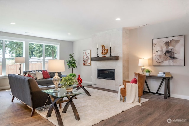 living room featuring dark wood-type flooring and a fireplace