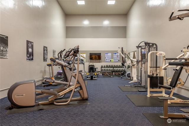 gym featuring a towering ceiling and carpet