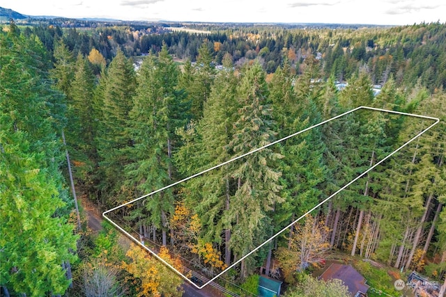 0 Slough Ln SE, Yelm, WA 98597