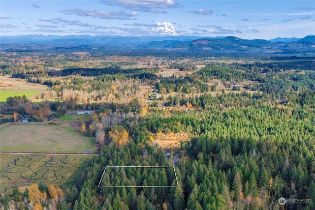 0 Slough Ln SE, Yelm, WA 98597