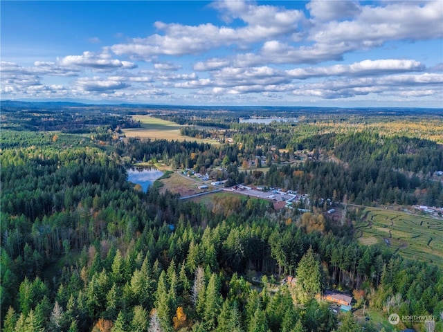 0 Slough Ln SE, Yelm, WA 98597