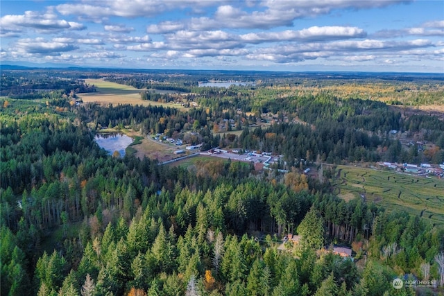0 Slough Ln SE, Yelm, WA 98597
