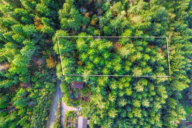 0 Slough Ln SE, Yelm, WA 98597