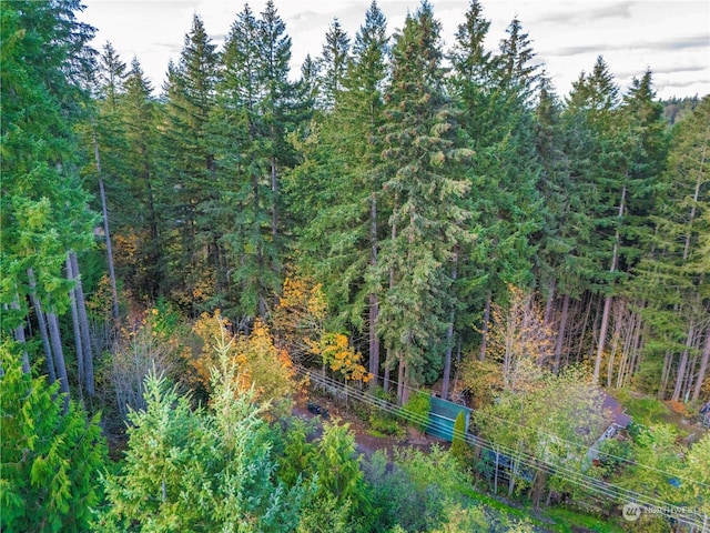 0 Slough Ln SE, Yelm, WA 98597