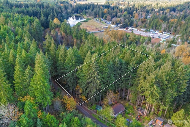 0 Slough Ln SE, Yelm, WA 98597
