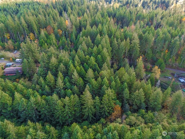 0 Slough Ln SE, Yelm, WA 98597
