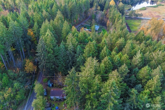 0 Slough Ln SE, Yelm, WA 98597
