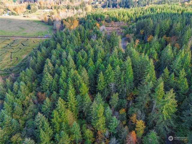 0 Slough Ln SE, Yelm, WA 98597