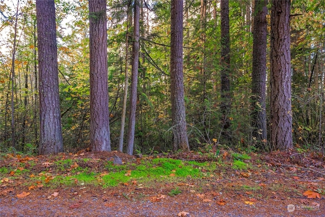 0 Slough Ln SE, Yelm, WA 98597