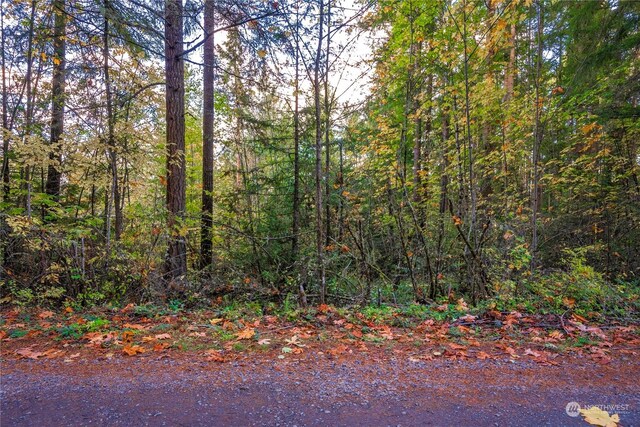 0 Slough Ln SE, Yelm, WA 98597