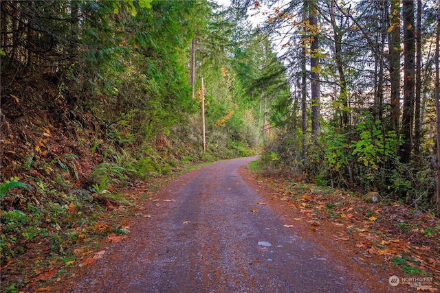 0 Slough Ln SE, Yelm, WA 98597