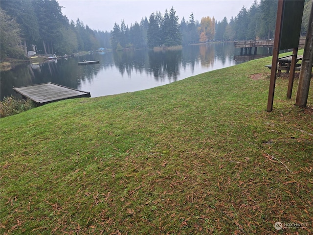 view of yard with a water view and a dock