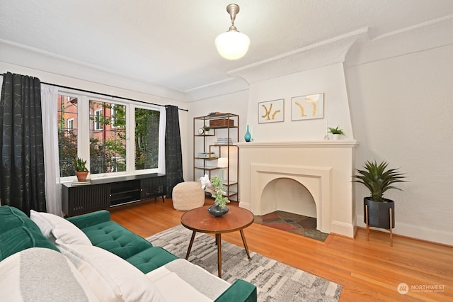 living room with a fireplace and hardwood / wood-style floors