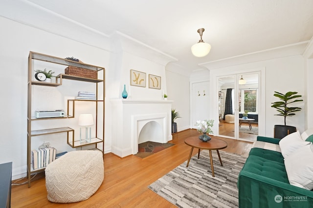 living room with wood-type flooring and ornamental molding