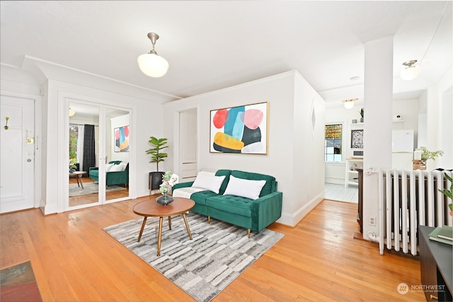 living area with wood-type flooring and radiator