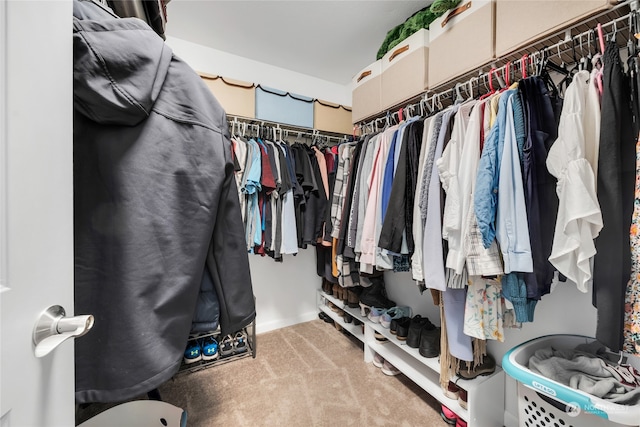 spacious closet with carpet