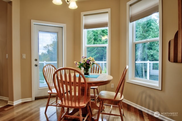 dining room with plenty of natural light and light wood-type flooring