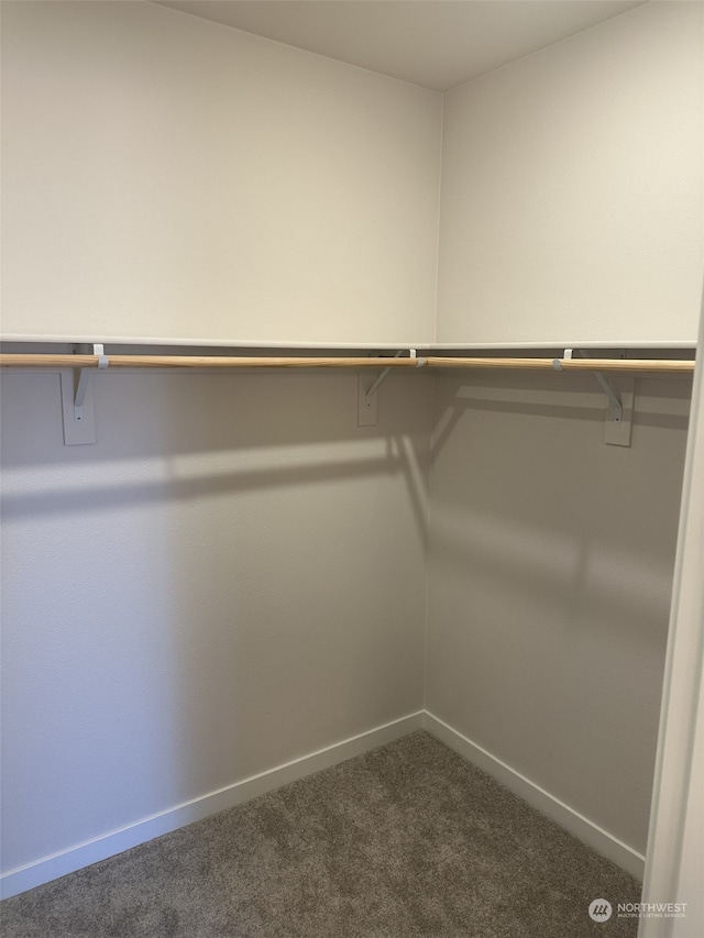 walk in closet with dark colored carpet