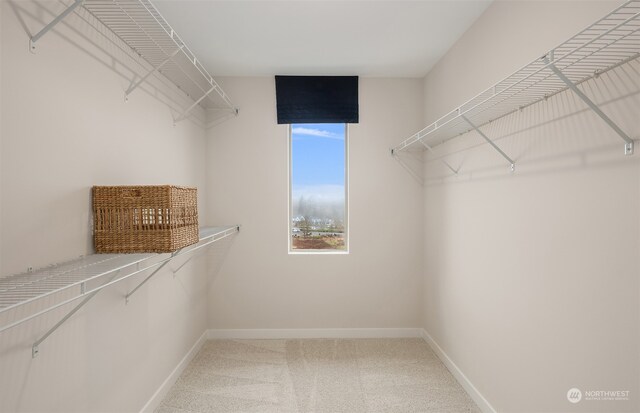 walk in closet with carpet flooring