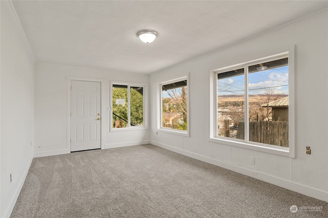 spare room with ornamental molding and carpet floors