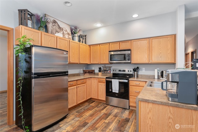 kitchen with light brown cabinets, appliances with stainless steel finishes, and dark hardwood / wood-style flooring