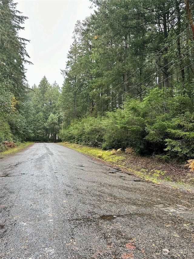 11419 Guthrie Rd, Anderson Island, WA 98303