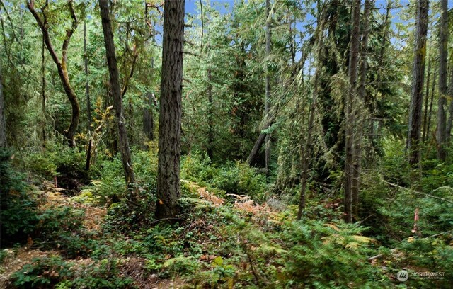 11419 Guthrie Rd, Anderson Island, WA 98303