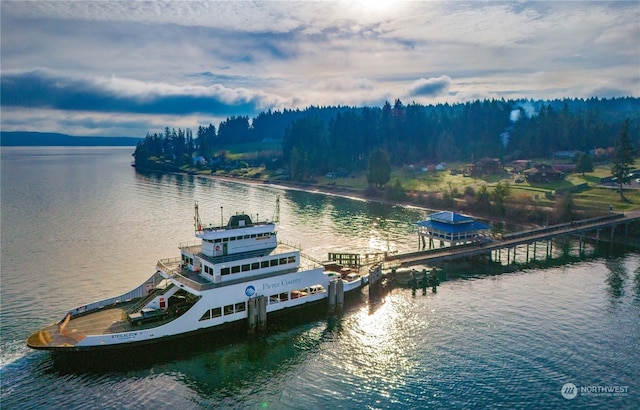 11419 Guthrie Rd, Anderson Island, WA 98303