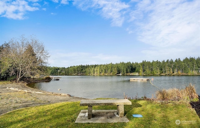 11419 Guthrie Rd, Anderson Island, WA 98303