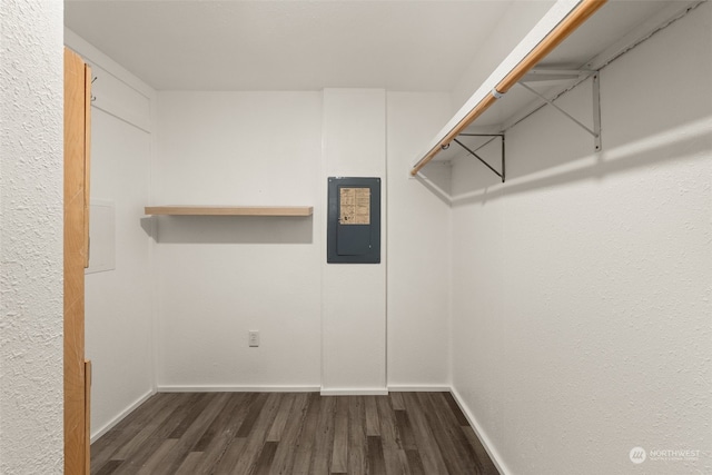 walk in closet with dark wood-type flooring and electric panel