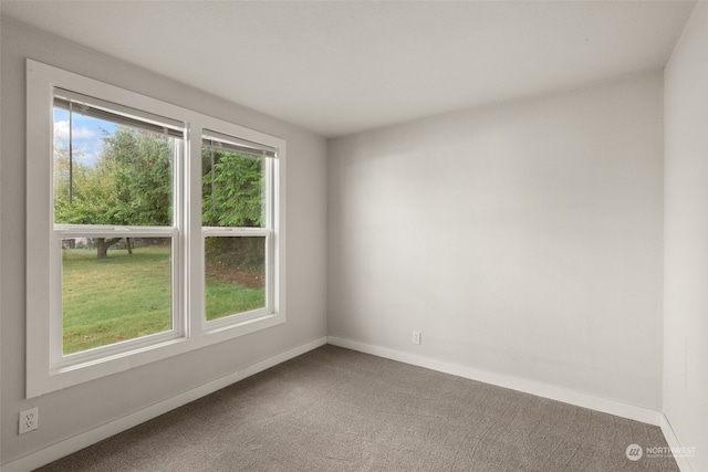 empty room with carpet flooring