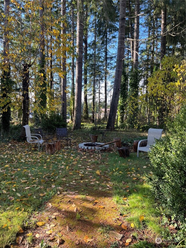 view of yard featuring a fire pit