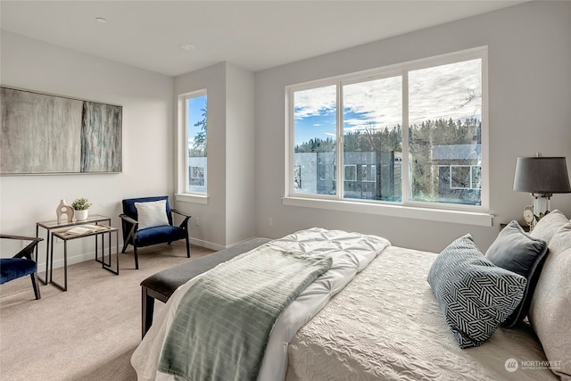 bedroom featuring baseboards and light colored carpet