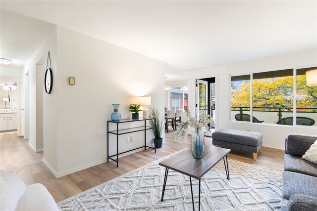 living room featuring light wood-type flooring