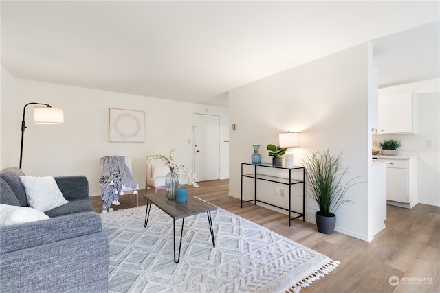 living room featuring light wood-type flooring