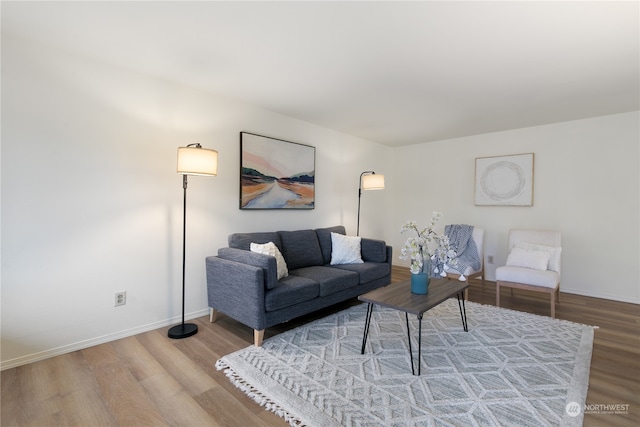 living room featuring wood-type flooring