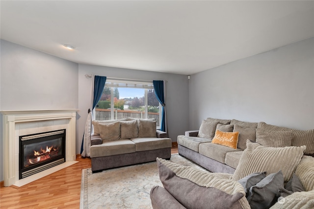 living room featuring a fireplace and wood-type flooring