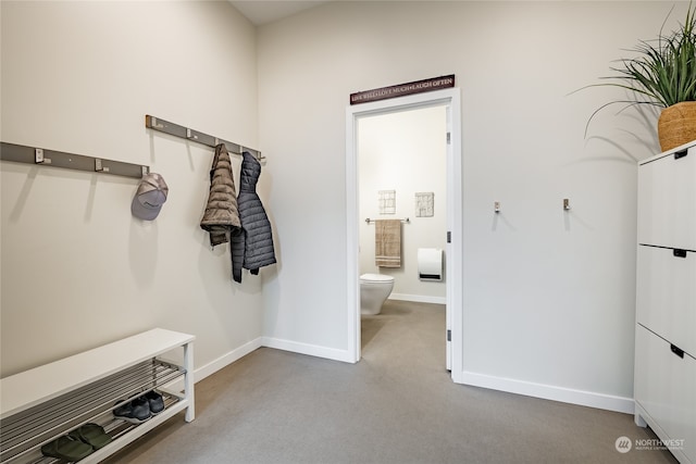 mudroom featuring carpet flooring