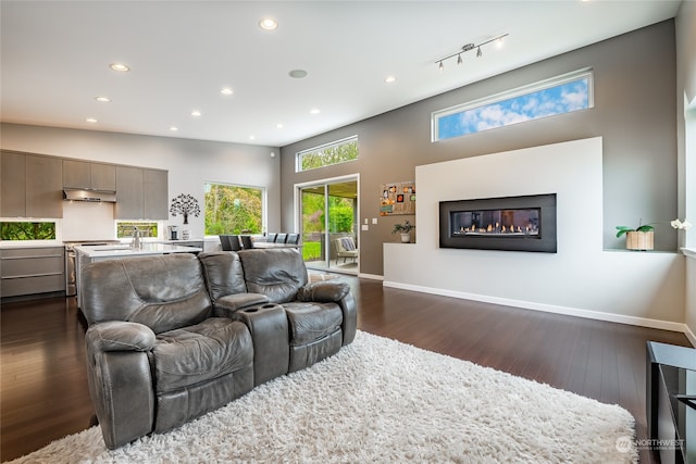 living room featuring vaulted ceiling and dark hardwood / wood-style flooring