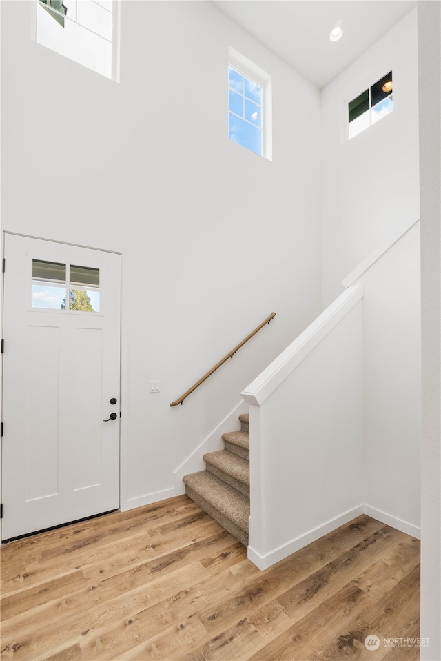 entryway featuring wood-type flooring and plenty of natural light