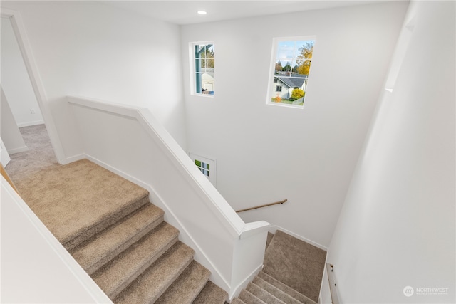 stairway featuring carpet flooring