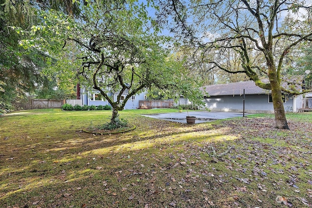 view of yard with a patio area